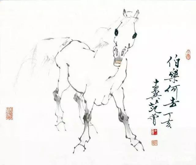 当代画家范曾生肖花鸟画作品